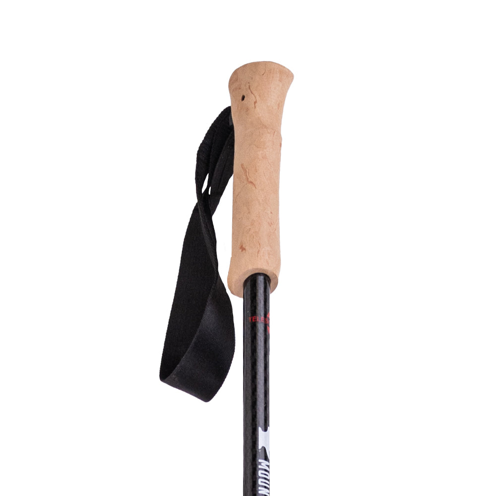 Mountainsmith Andesite Trekking Poles