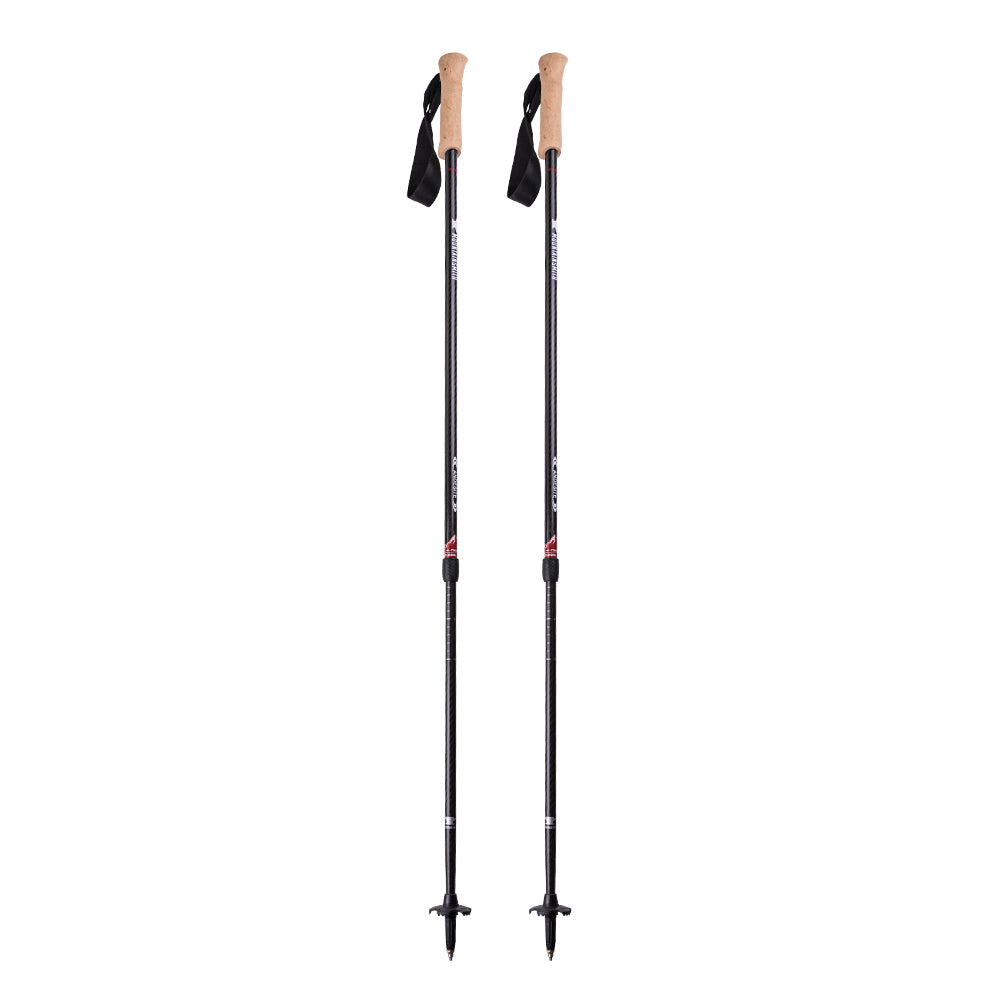 2024 Andesite Trekking Poles Mountainsmith