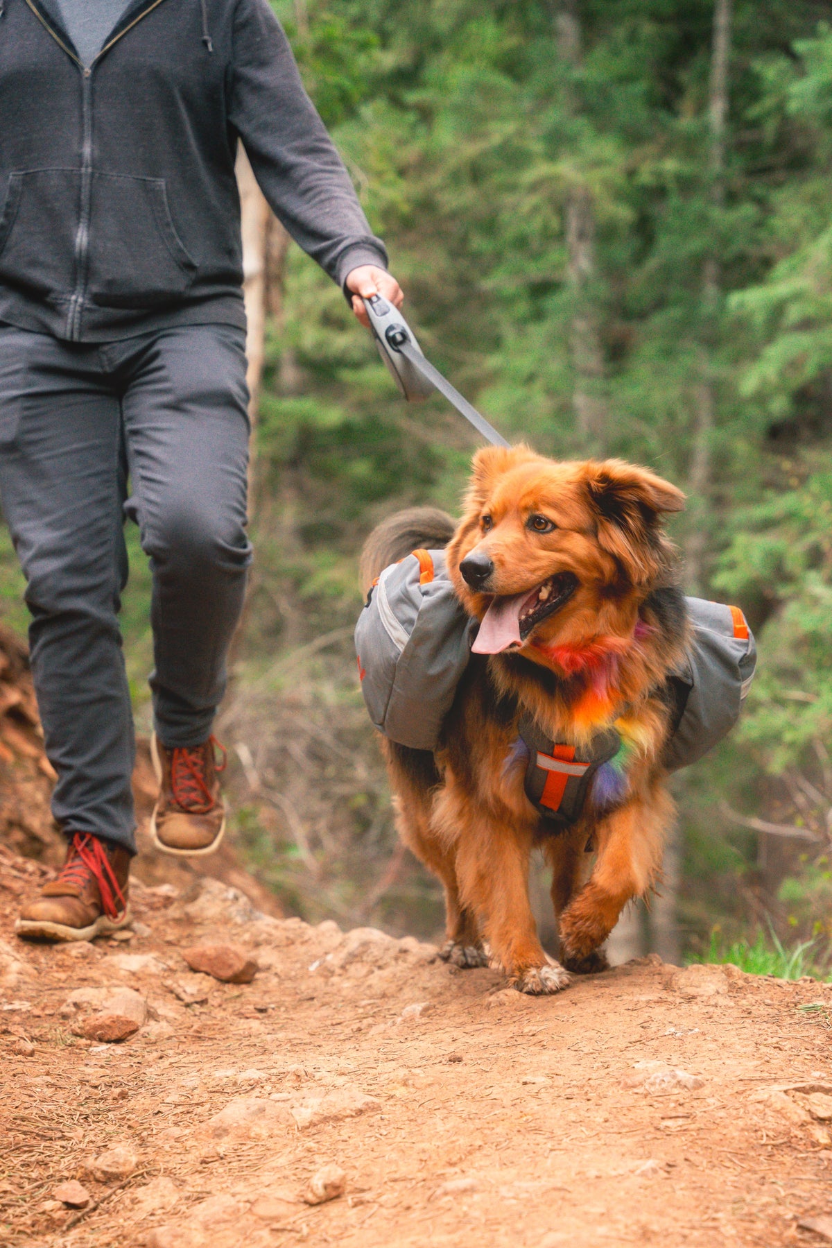 K9 Dog Pack Backpack for Dogs Mountainsmith