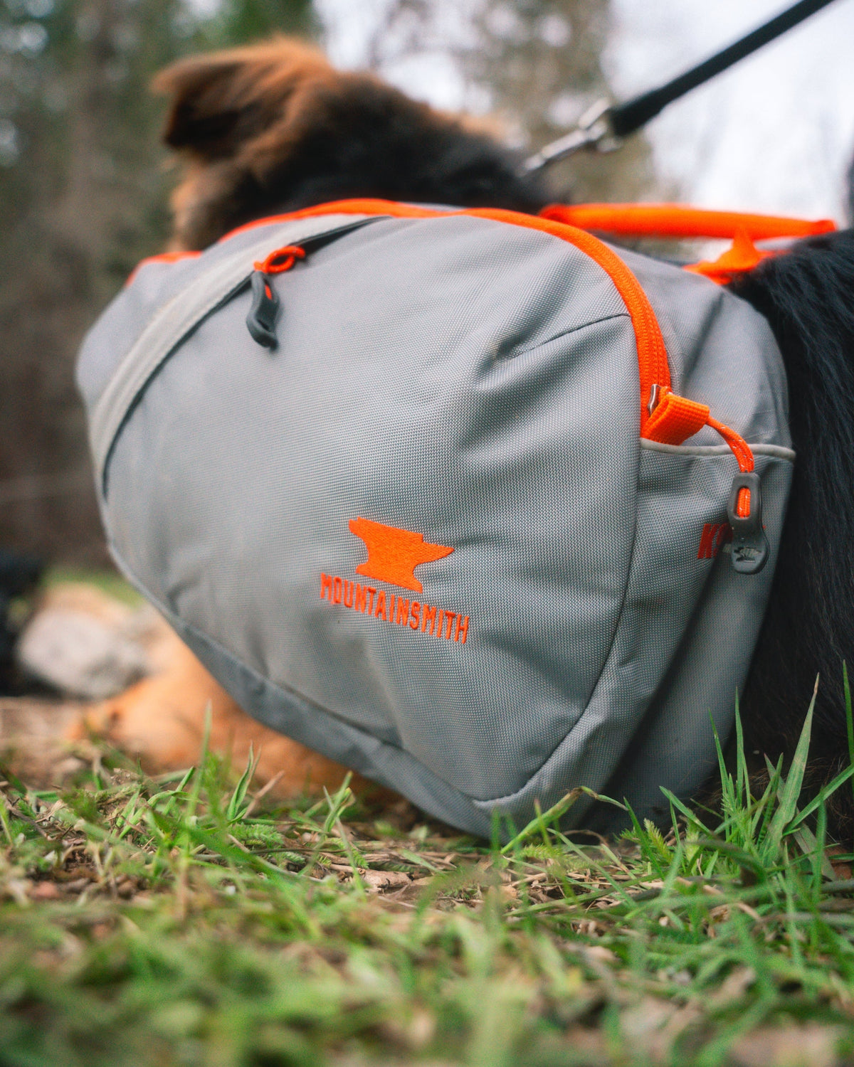 best hiking backpacks for dogs Mountainsmith K-9 Dog Pack, Large