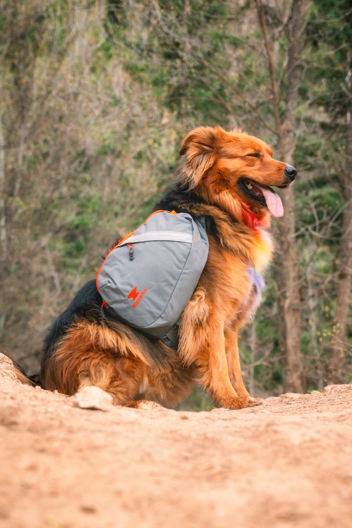 Backpacks with dogs on them hotsell